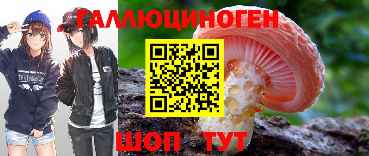 Галлюциногенные грибы Cubensis  Вход с VPN  Чернушка  Галлюциногенные грибы ЛСД 
